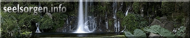 logo seelsorgen