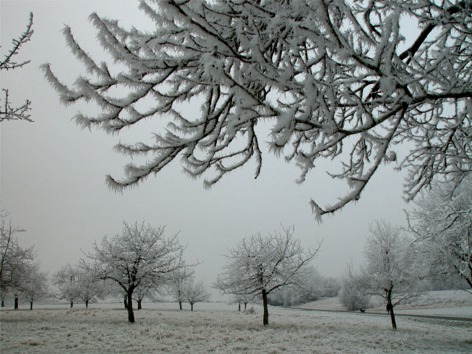 gefrorener Nebel 01