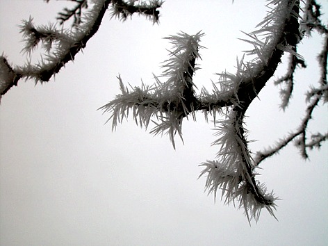 gefrorener Nebel 02