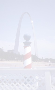 St. Louis Arche03