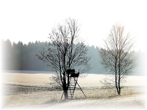GegenlichtlHochsitz02 GegenlichtlHochsitz02