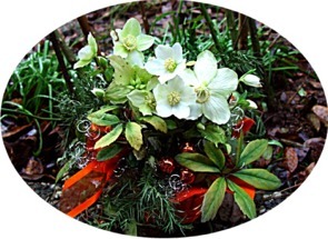 Christrosen oval02