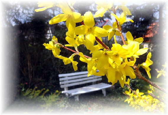 Frhling